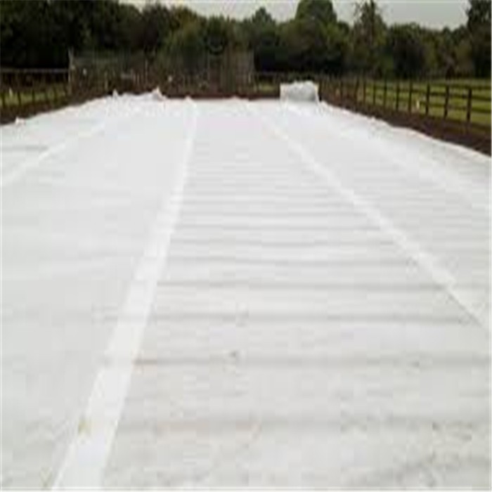 non woven Geotextile